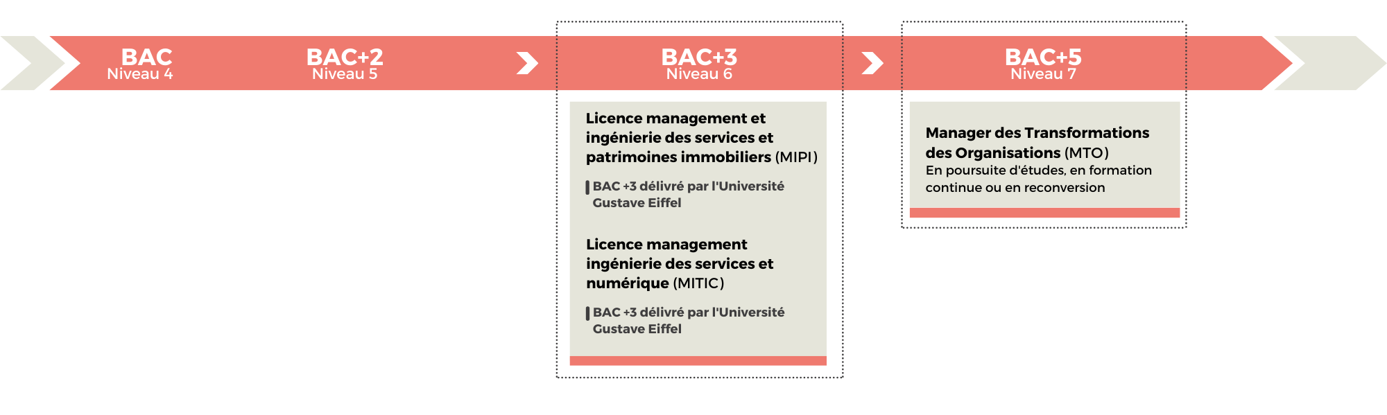 Filière Stratégie et Management